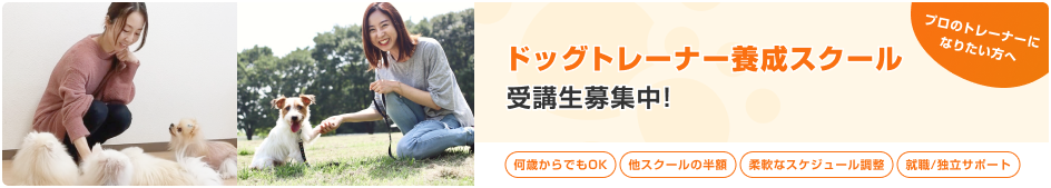 ドッグトレーナー養成スクール受講生募集中