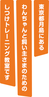 東京都月島にあるわんちゃんと飼い主さまのためのしつけトレーニング教室です