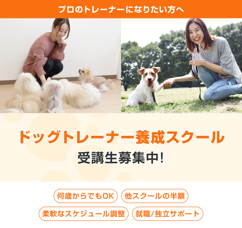 ドッグトレーナー養成スクール受講生募集中